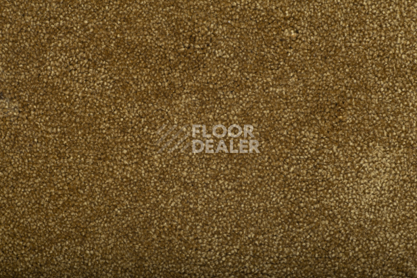 Ковролин  Mustard фото 1 | FLOORDEALER